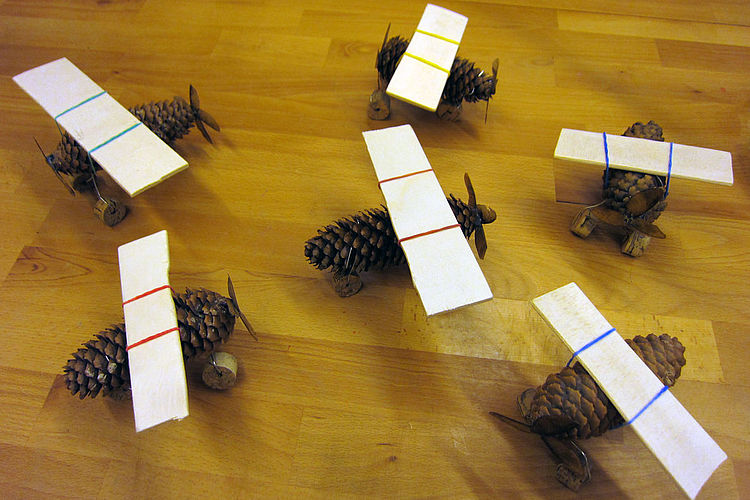 Fliegende Zapfen