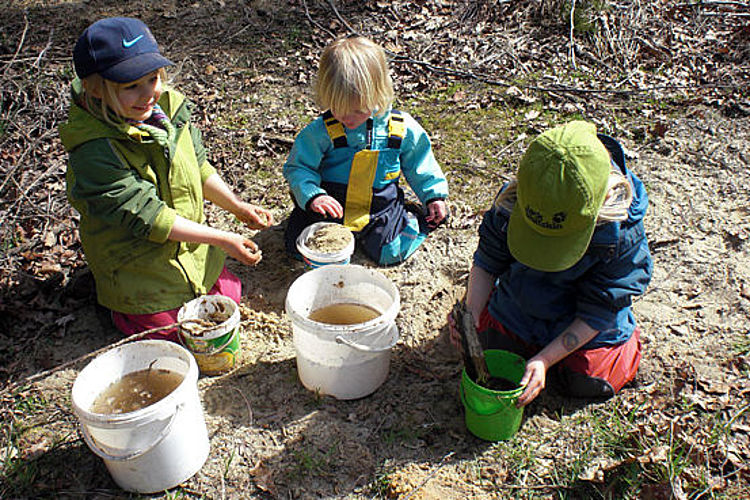 Kinder im Wald