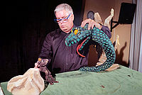 Puppenspieler Maus und Schlange