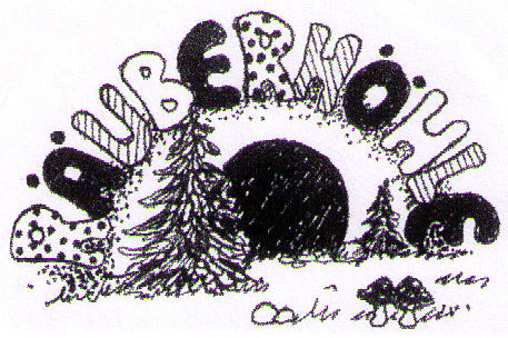 Logo der Kita Raeuberhoehle in Wienhausen