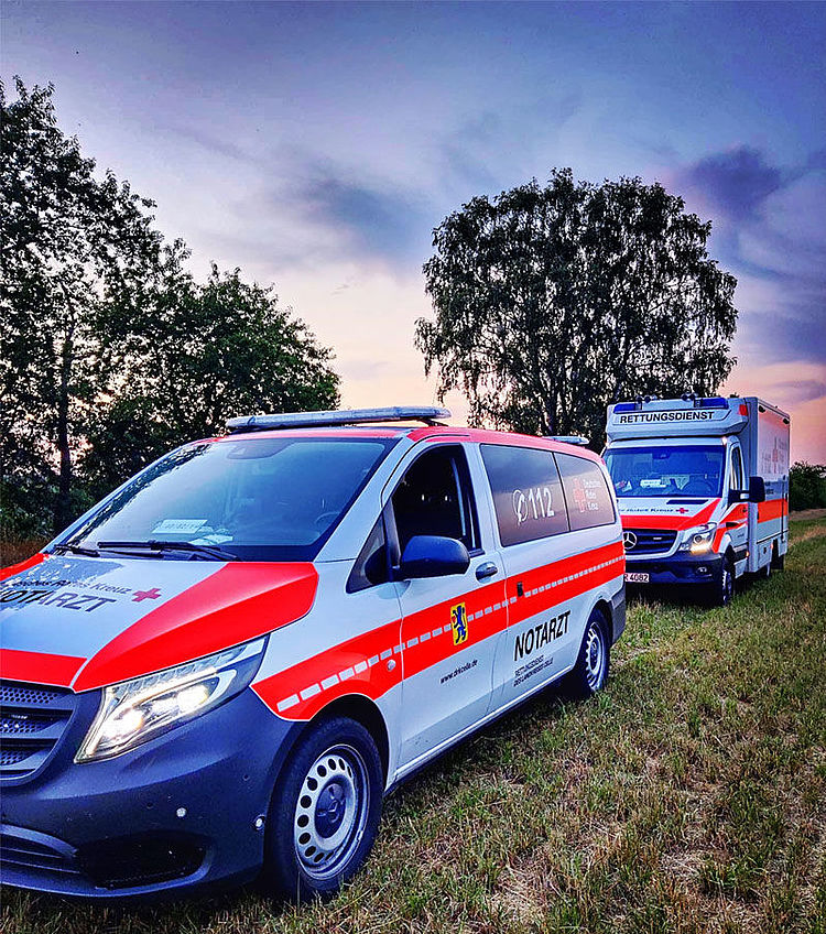 Ein Notarzteinsatzfahrzeug und ein Rettungswagen stehen hintereinander auf einer Wiese. Die Fahrzeuge sind seitlich zu sehen, im Hintergrund leuchten zwei Bäume im Licht des Sonnenuntergangs.