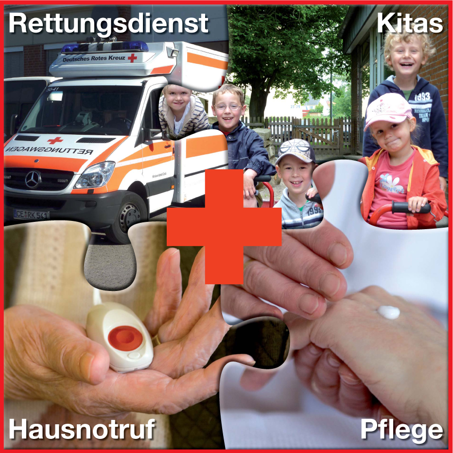 Hauptamtliche Aktivitäten